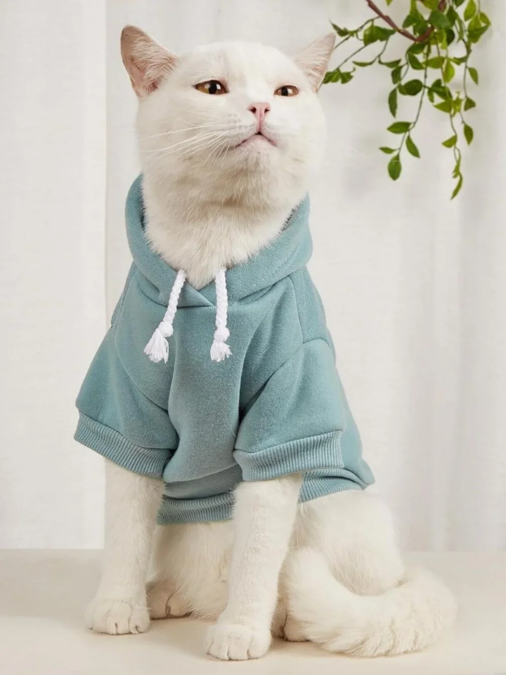 Cozy Dog Hoodie Sweatshirt for Small Dogs & Cats - Warm Pet Costume, X-Small
